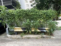 Niven Road (D9), Terrace #478590231